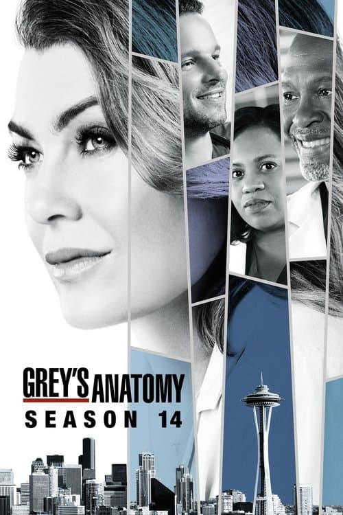 Greys Anatomy - Season 14