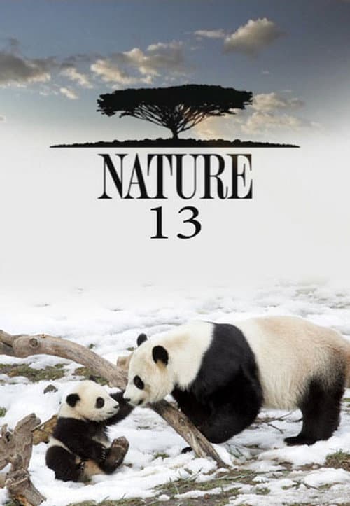 Nature - Season 13