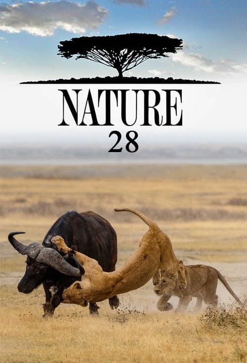 Nature - Season 28