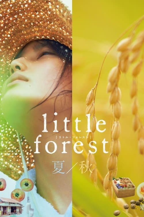 Little Forest: Summer/Autumn (2014) - Movie
