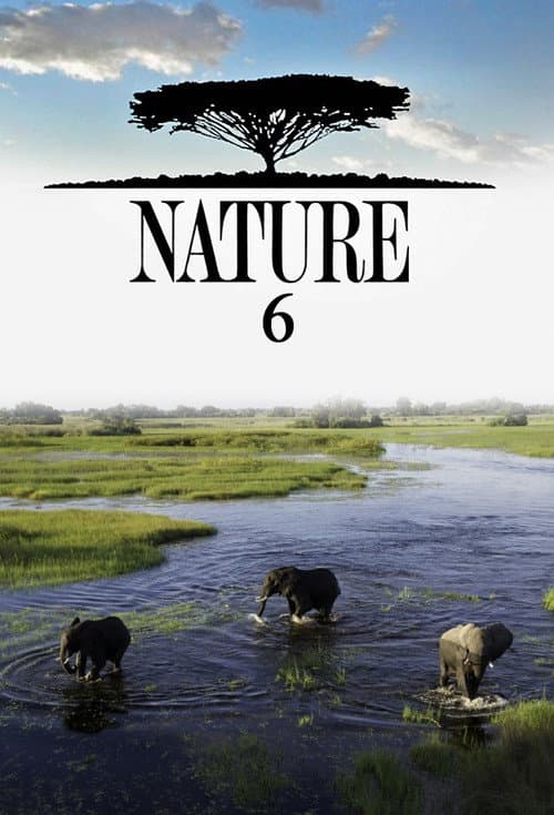 Nature - Season 6