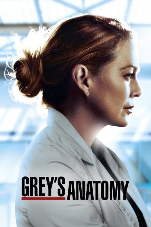 Greys Anatomy - Season 17