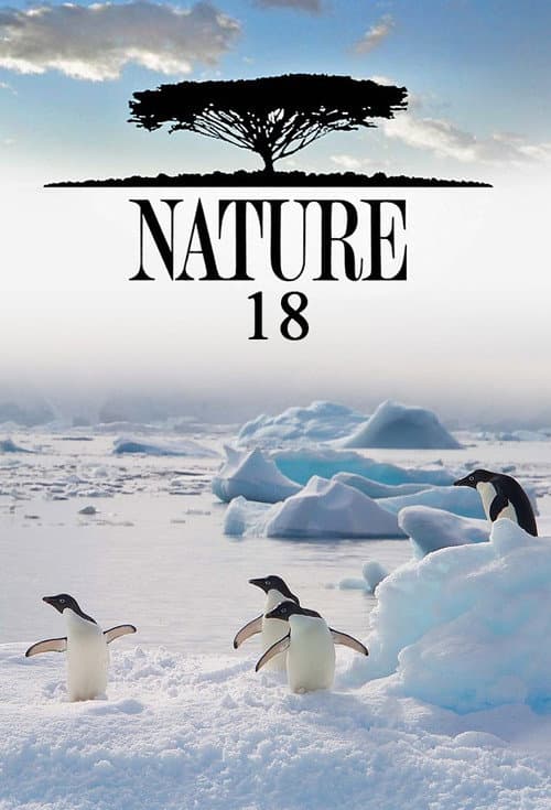 Nature - Season 18