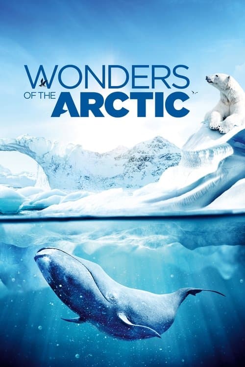 Wonders of the Arctic (2014) - Movie
