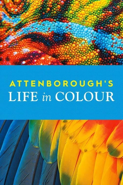 Attenborough's Life in Colour (2021) - TV