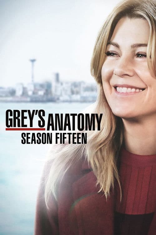 Greys Anatomy - Season 15