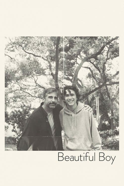 Beautiful Boy (2018) - Movie