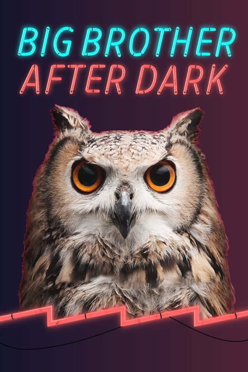 Big Brother US After Dark (2007)