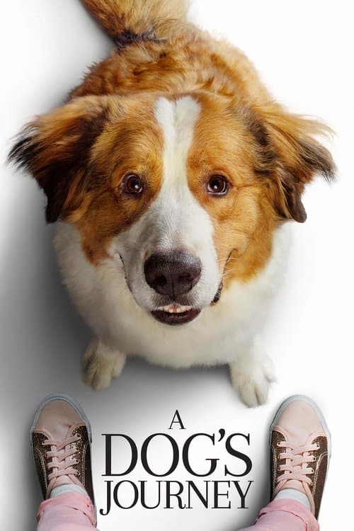 A Dog's Journey (2019) - Movie