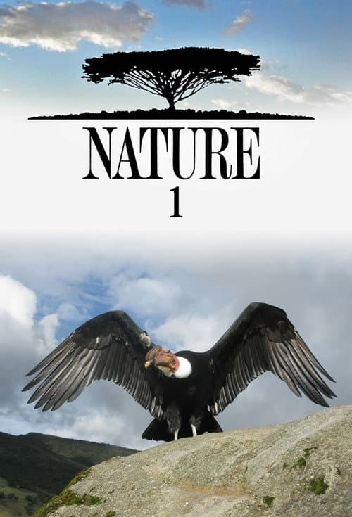 Nature - Season 1