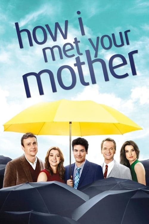 How I Met Your Mother (2013)