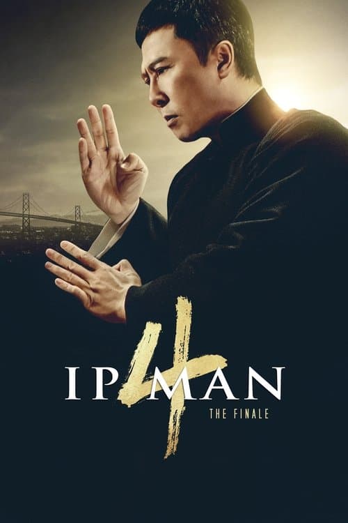 Ip Man 4: The Finale (2019) - Movie