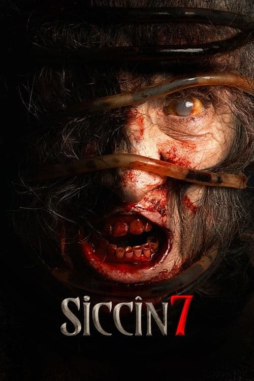 Siccin 7 (2024)
