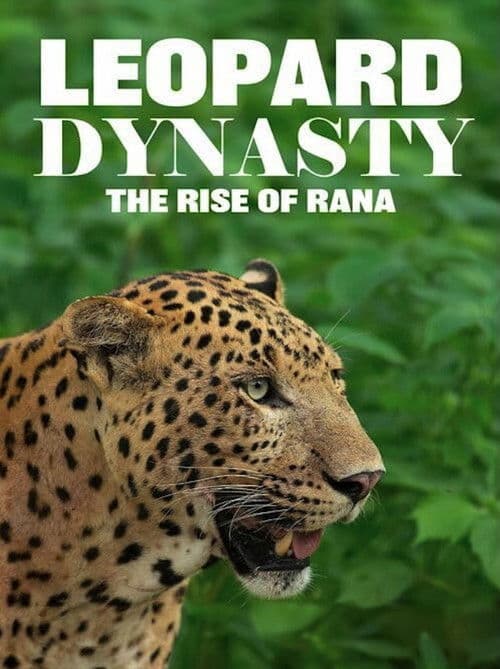 Leopard Dynasty-The Rise of Rana (2025) - Movie
