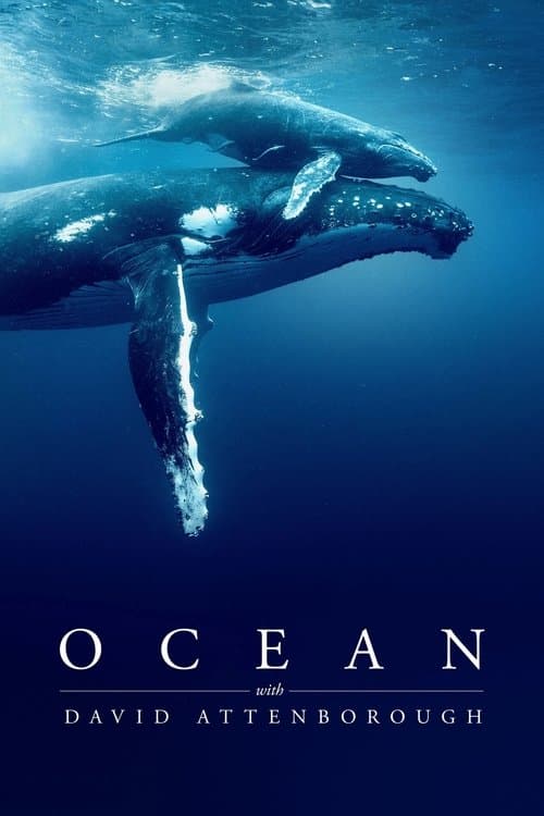 Ocean with David Attenborough (2025) - Movie